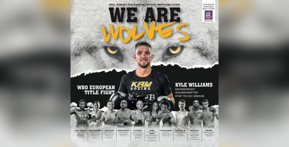 we are wolves boxing